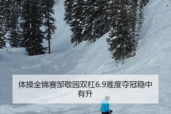 体操全锦赛邹敬园双杠6.9难度夺冠稳中有升
